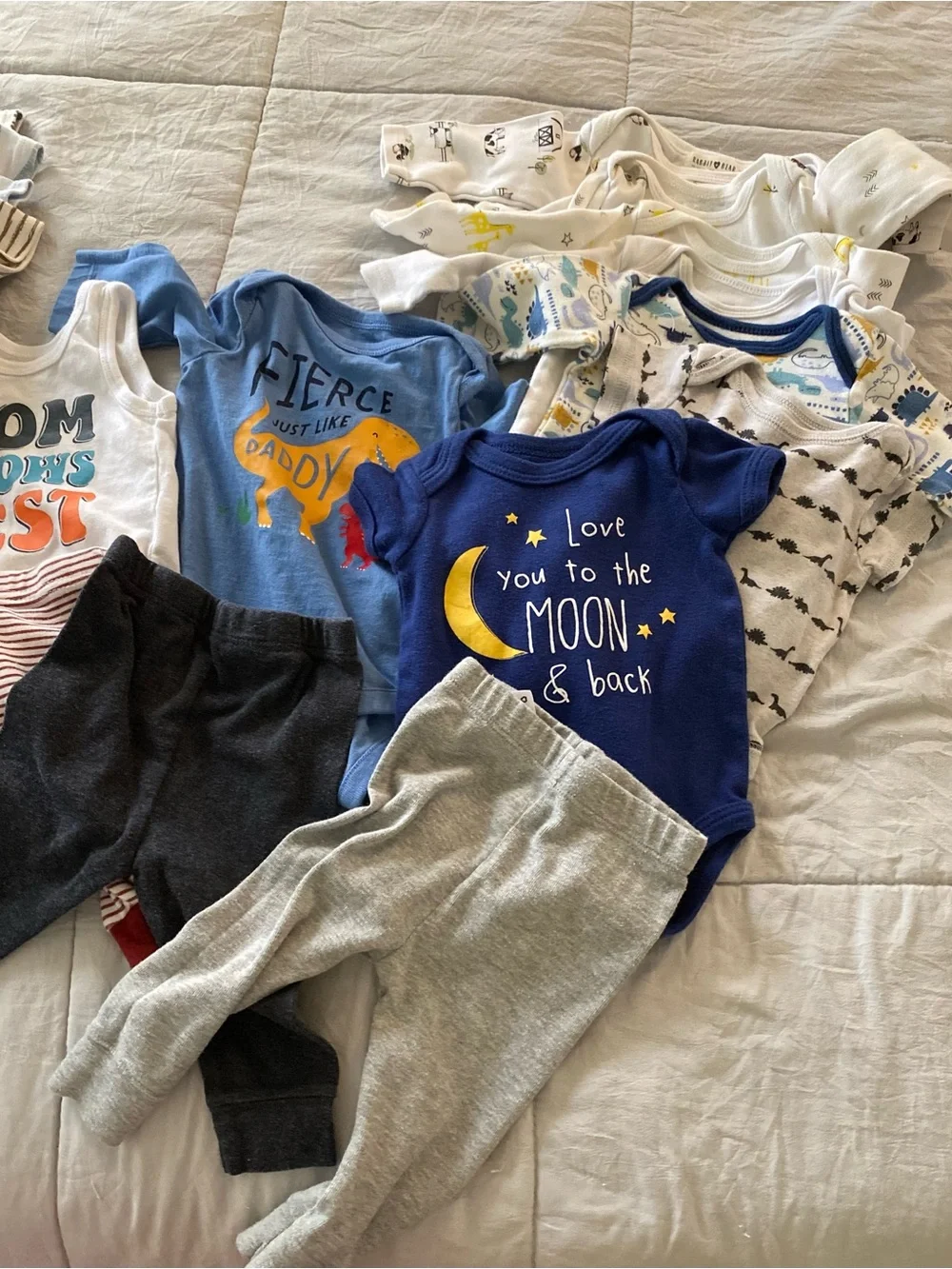 Garanimals Blue and White Dino Graphic Matching Set